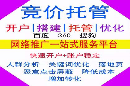 专业SEM运营托管服务案例分析